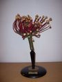 Modell von Drosera rotundifolia (Rundblättriger Sonnentau), Blüte [Osterloh Nr.8]