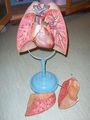 Modell der menschlichen Lunge und Herz