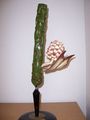 Modell eines Kurztriebs mit männlicher Blüte von Pinus silvestris (Kiefer) [Osterloh Nr.28]