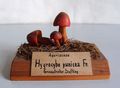 Modell von Hygrocybe punicea (Granatroter Saftling, Granatrote oder Größte Saftling)