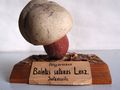 Modell von Boletus satanas (Satansröhrling, Satanspilz)