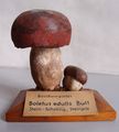 Modell von Boletus edulis Bull. (Gemeiner Steinpilz, Stein-Röhrling)