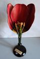 Modell der Blüte von Tulipa gesneriana (Garten-Tulpe) [Osterloh Nr. 124]