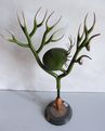 Modell von Utricularia vulgaris (Gewöhnlicher Wasserschlauch) [Brendel Nr.135]