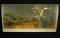 Kleindiorama der ostafrikanischen Savanne