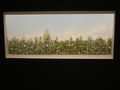 Kleindiorama einer Baumwollplantage (Gossypium)