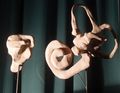 Modelle vom Innenohr (häutiges Labyrinth) eines 11 mm langen menschlichen Embryos und eines 29 mm langen menschlichen Fetus