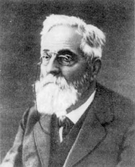 <b>Heinrich Weber</b> (1842-1913) - Heinrich_Martin_Weber