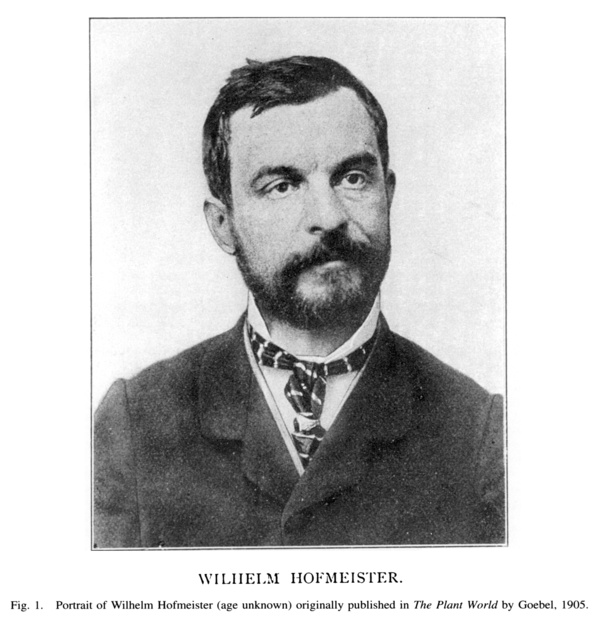 Wilhelm Hofmeister (1824-1877)